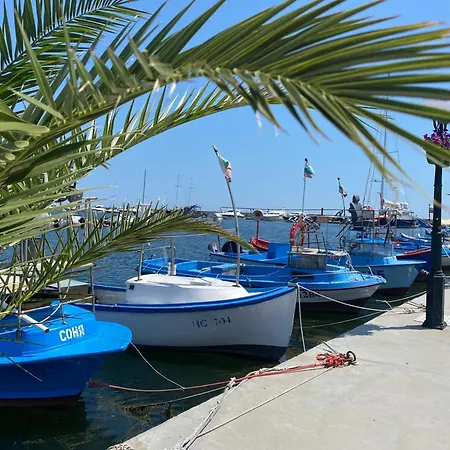 Apartment Fregata 2 *